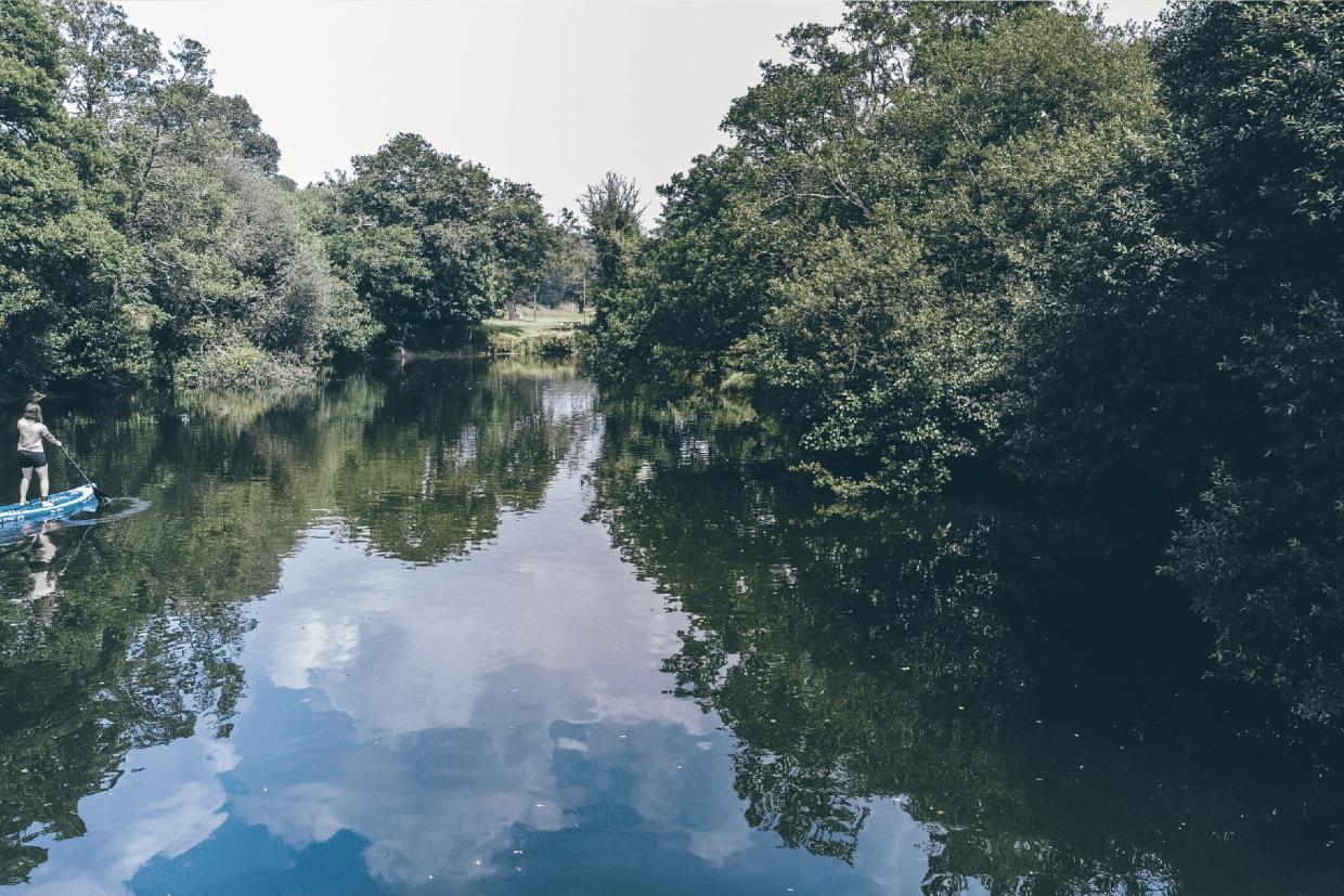 Person paddling on a blue paddleboard through a calm river or lake surrounded by dense green trees, with sky reflected in the water