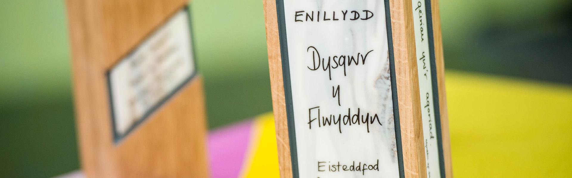 Enillydd Dysgwyr y Flwyddyn 2019