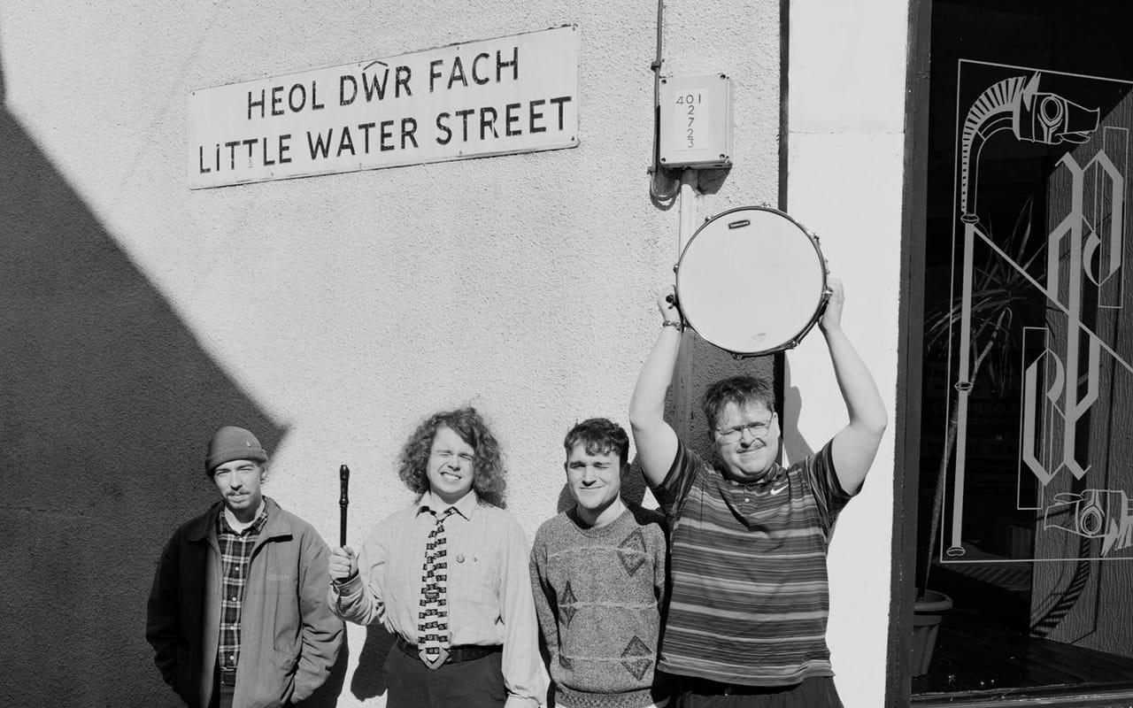 Tai Haf Heb Drigolyn yn Nghaerfyrddin